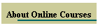 About Online Courses