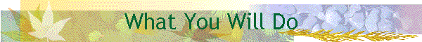What You Will Do