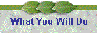 What You Will Do