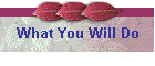 What You Will Do